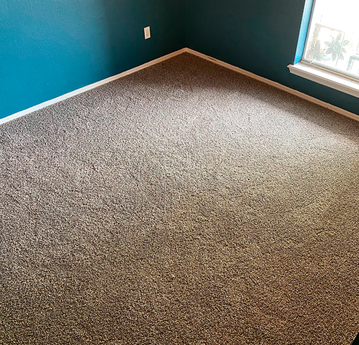Absolute Carpet Flooring